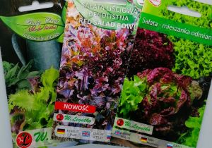 Lettuce Collection Seeds